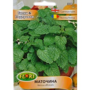 Маточина гр. Маточина гр.