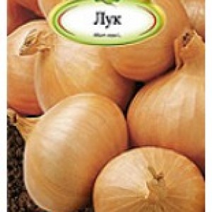 Лук Денсити 2гр.