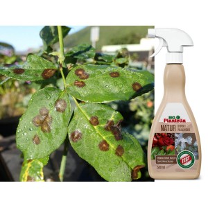 Bio Plantella Natur лекува и поддържа растенията здрави и устойчиви 500 мл. Bio Plantella Natur лекува и поддържа растенията здрави и устойчиви 500 мл.