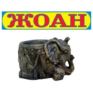 Саксия Слонче Саксия Слонче