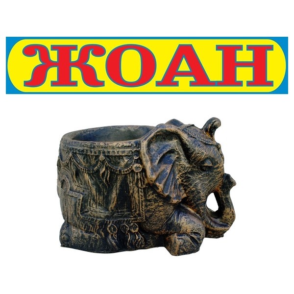 Саксия Слонче Саксия Слонче